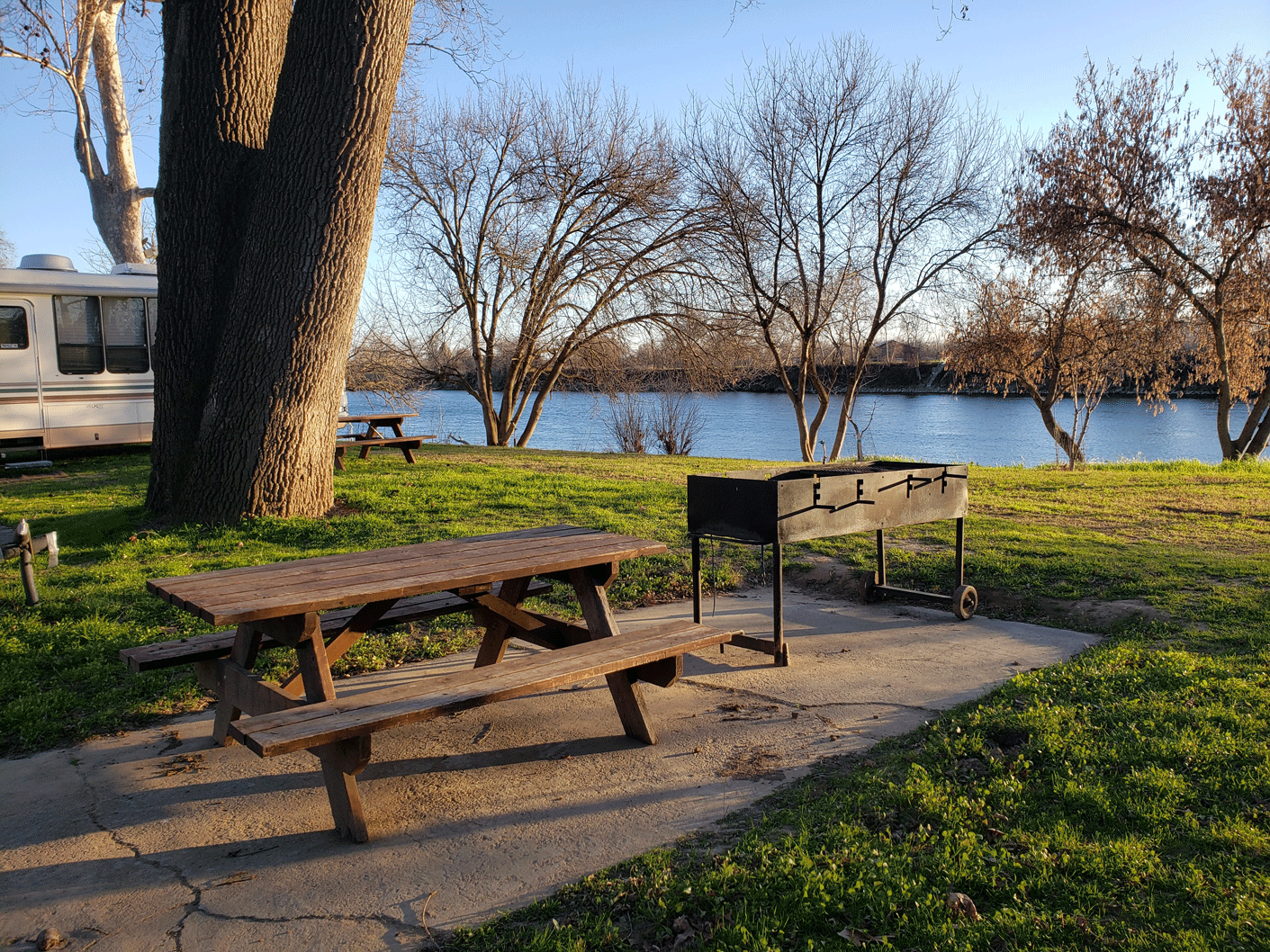 corning rv park united states grass areas olive trees