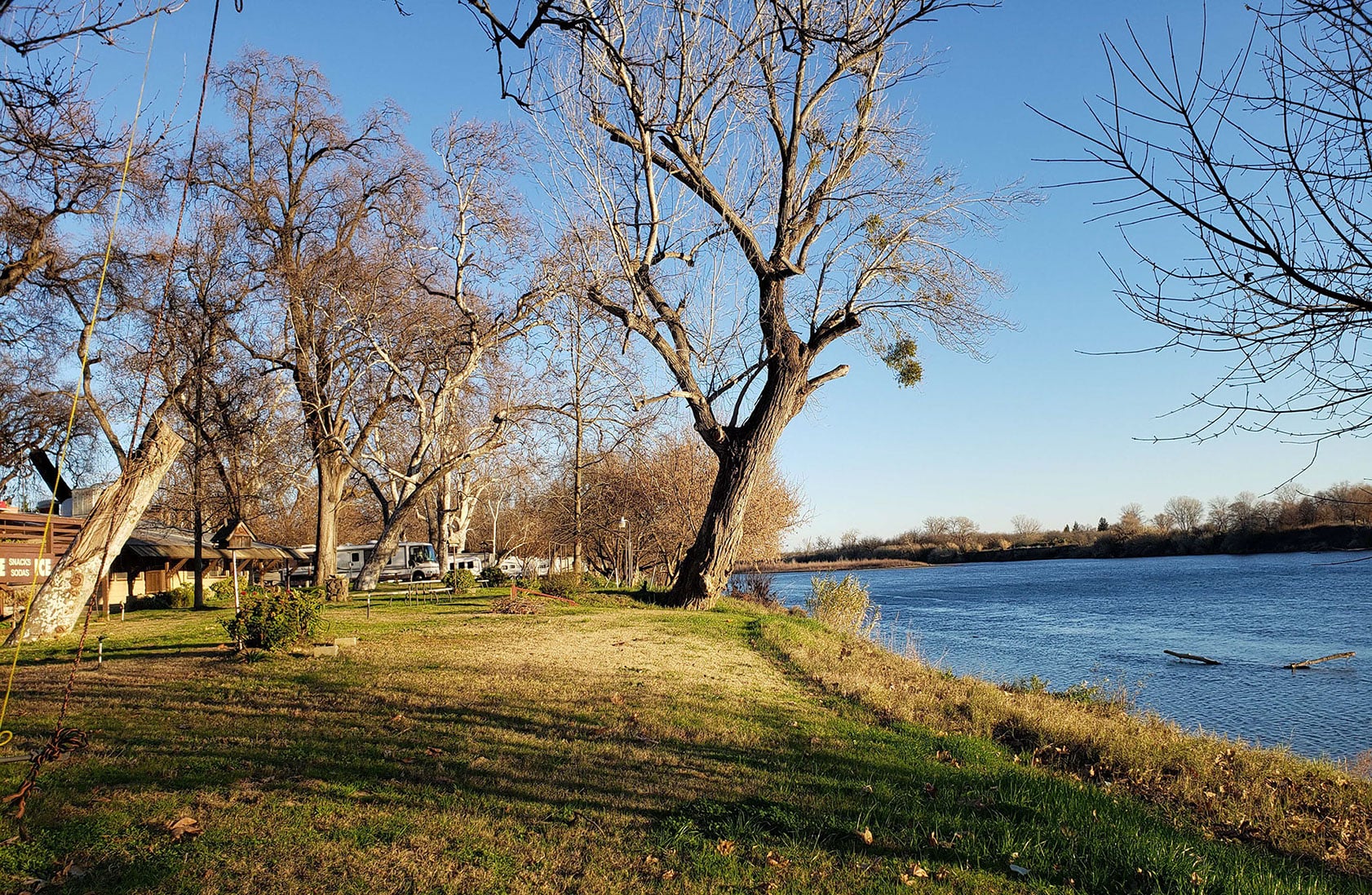 A serene riverside scene with tall, leafless trees lining the grassy bank. The river flows to the right under a clear blue sky. Patches of sunlight and shadows create a tranquil ambiance.