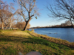 A serene river scene with bare trees lining the grassy riverbank under a clear blue sky. The sunlight casts long shadows, highlighting the tranquil setting.