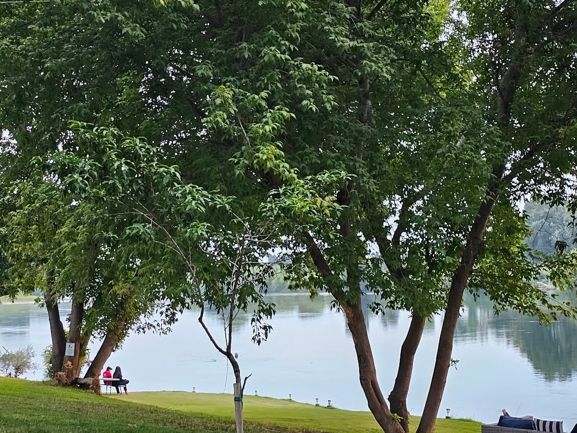 Two people sit on a bench under tall, leafy trees by a serene lake. The greenery contrasts with the calm water, creating a peaceful, natural setting.