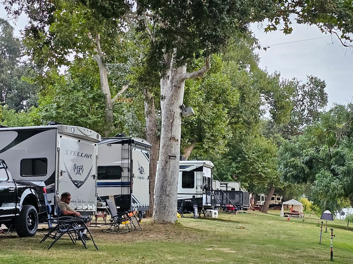 A campground scene with several RVs parked on a grassy area surrounded by tall trees. A person is sitting on a chair near one of the RVs, and a small tent is pitched nearby under the trees. The atmosphere is peaceful and lush.