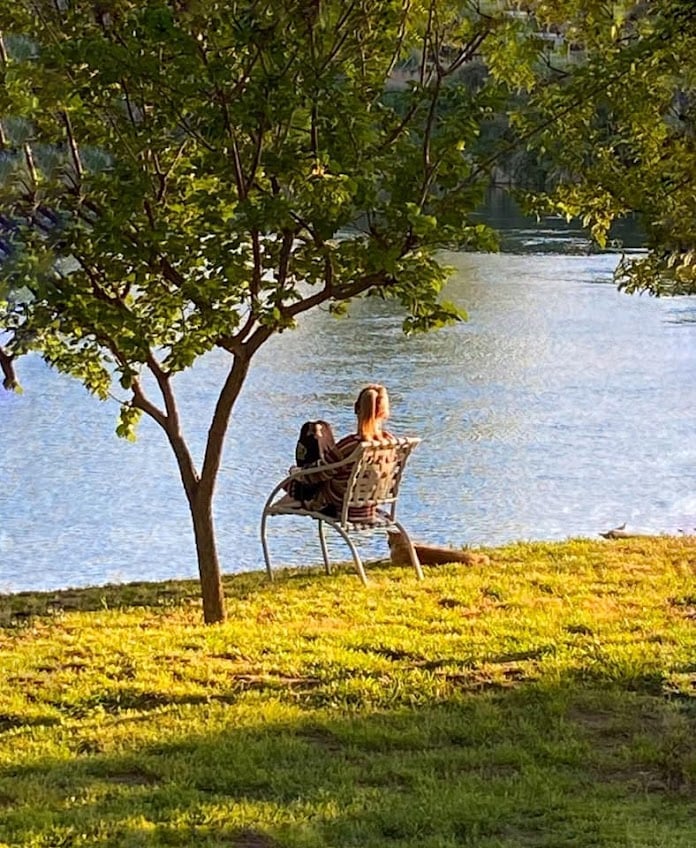 A person sits on a bench by a lake, under the shade of a tree, enjoying the peaceful scenery. Sunlight casts golden hues on the grass, and their backpack rests nearby.