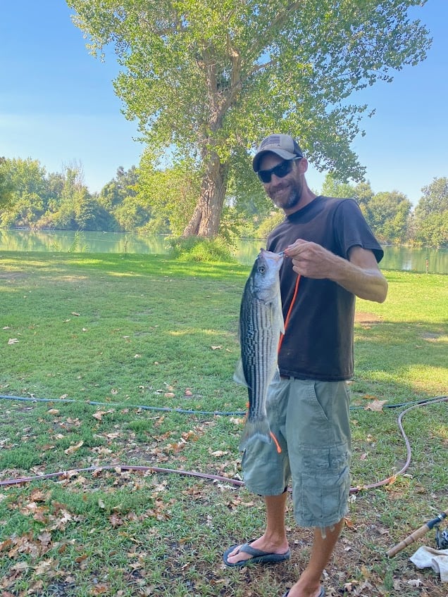 A person wearing a cap and sunglasses stands on grass near a lake, holding a large striped fish. Trees and a clear blue sky are visible in the background.