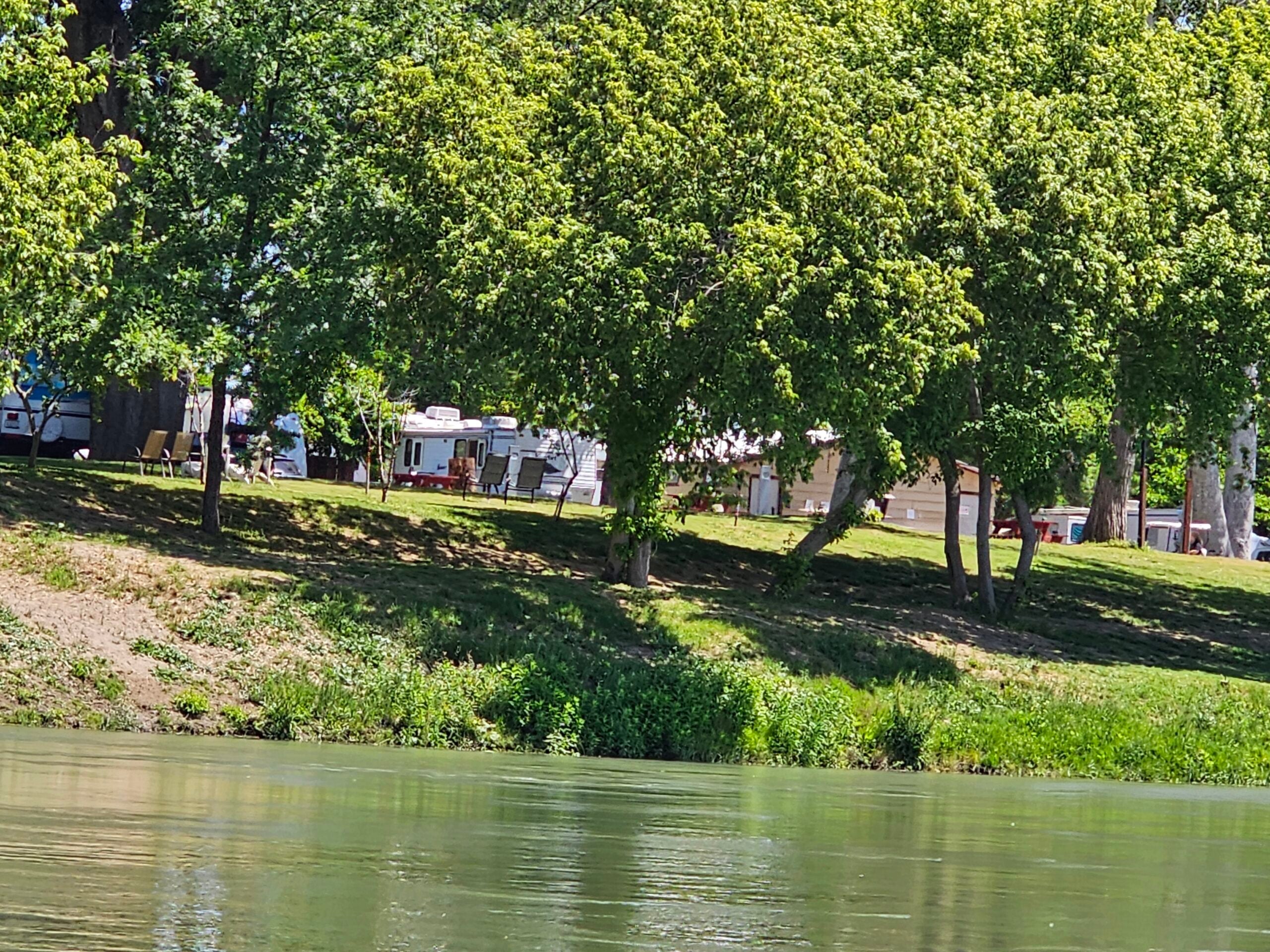 A grassy riverbank with lush green trees, RVs, and parked vehicles visible among the trees on a sunny day. The river is calm, reflecting the greenery along the shoreline.